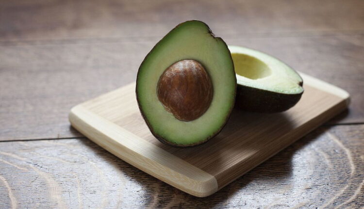 National Avocado Day - July 31