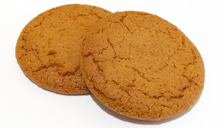 National Gingersnap Day - July 1