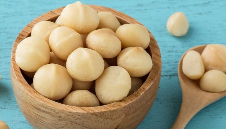 National Macadamia Nut Day – september