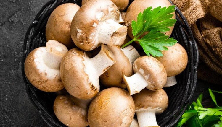 National Mushroom Day - october