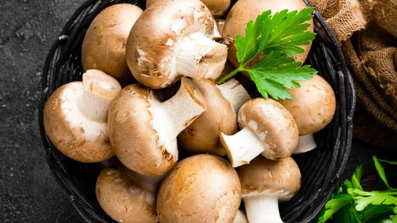 National Mushroom Day - october