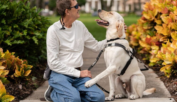 International Guide Dog Day - April 27