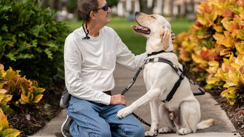 International Guide Dog Day - April 27