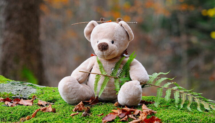 Teddy Day - February 10