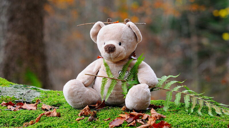 Teddy Day - February 10