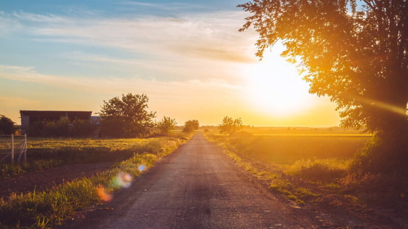 Stay Out of the Sun Day - July 3