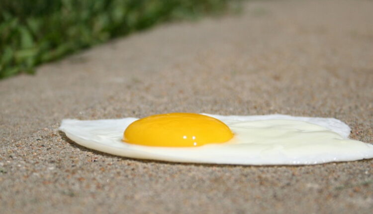 Sidewalk Egg Frying Day - July 4