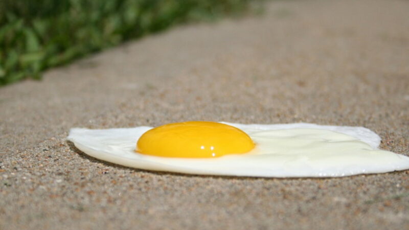 Sidewalk Egg Frying Day - July 4