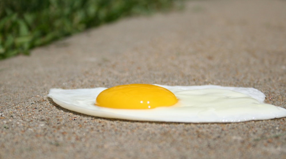 Sidewalk Egg Frying Day - July 4