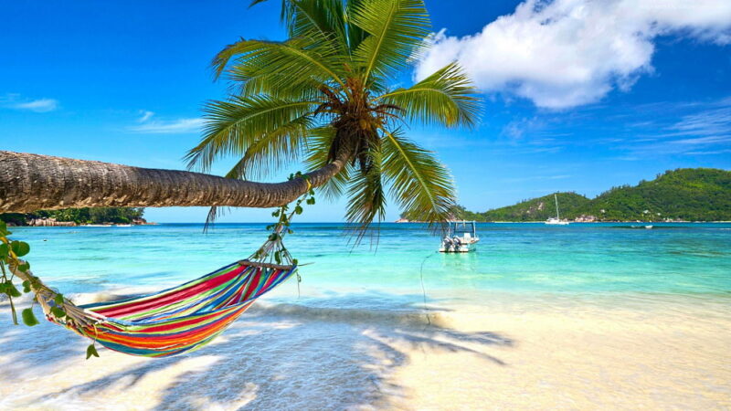 Summer Leisure Day - July 22