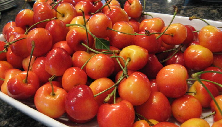 National Rainier Cherries Day - July 11