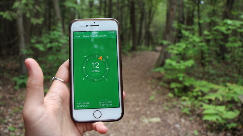 International Geocaching Day - August