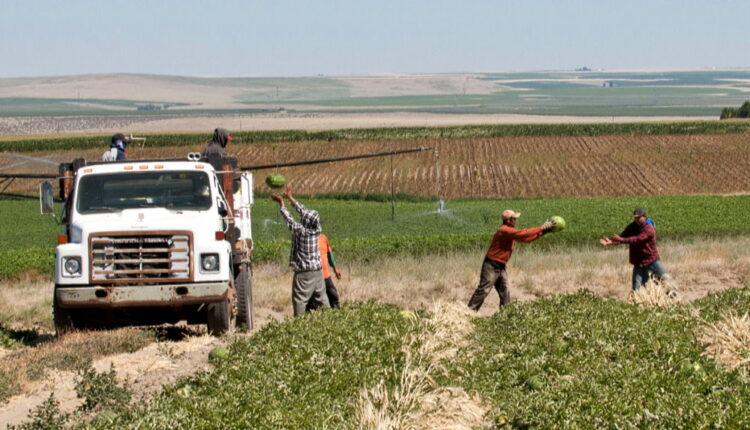 National Farm Workers Day - March 31