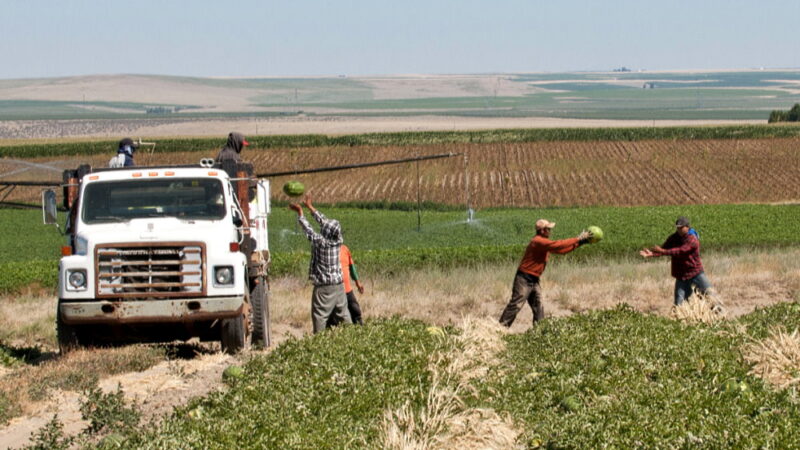 National Farm Workers Day - March 31
