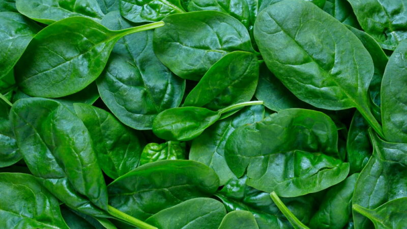 National Fresh Spinach Day - July 16