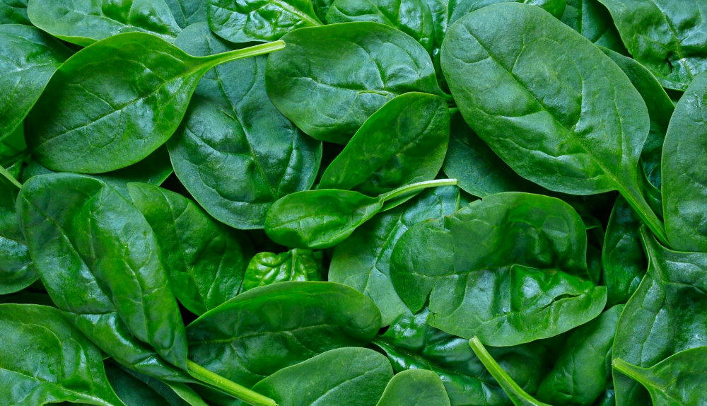 National Fresh Spinach Day - July 16