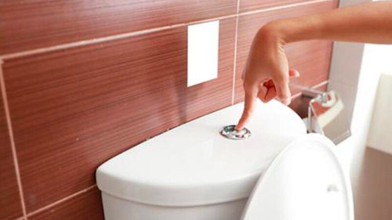 Thomas Crapper Day - January 27