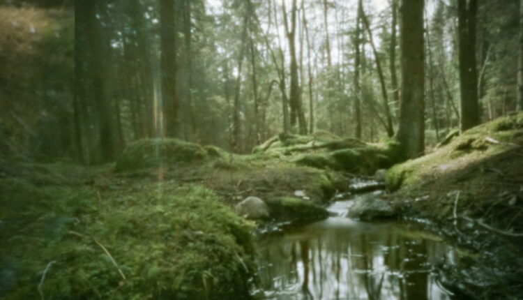 World Pinhole Photography Day - April