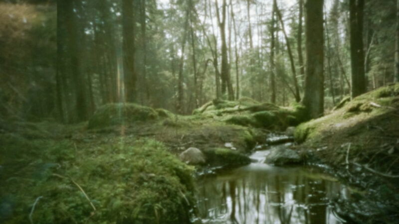 World Pinhole Photography Day - April