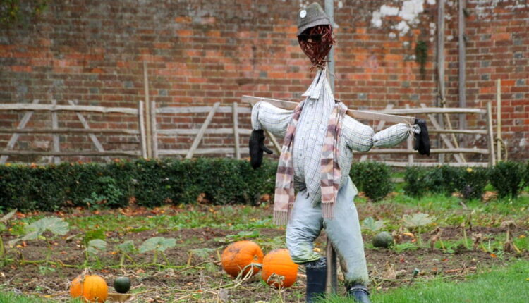 National Build a Scarecrow Day - July