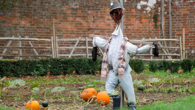 National Build a Scarecrow Day - July