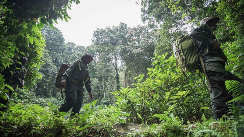 World Ranger Day - July 31