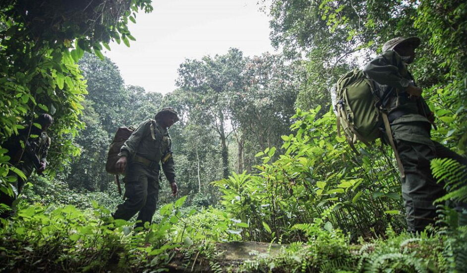 World Ranger Day July 31, 2024