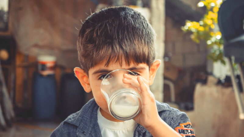 World School Milk Day - September