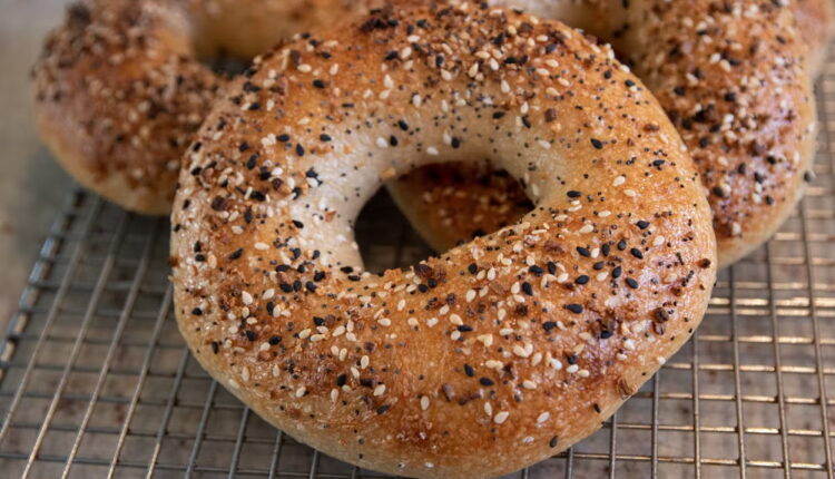 National Bagelfest Day - July 26