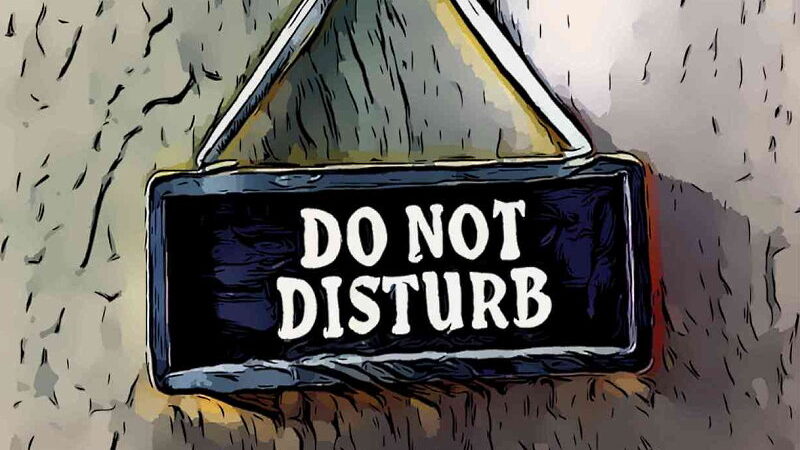 No Interruptions Day - December 31