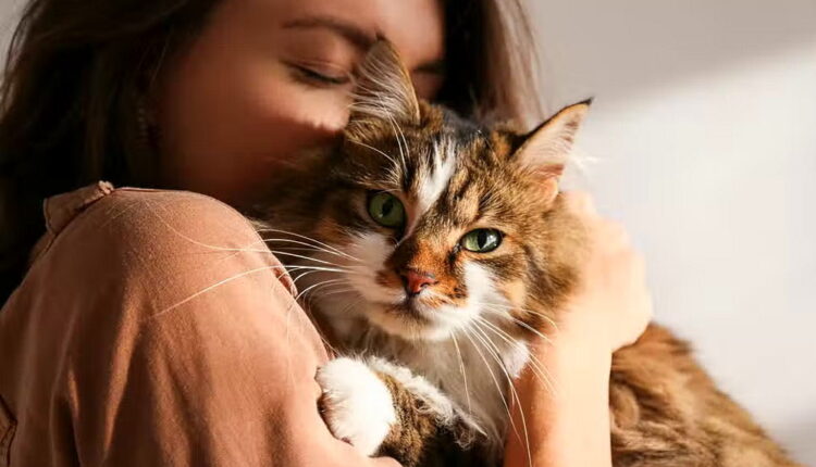 Cuddle Up Day - January 6