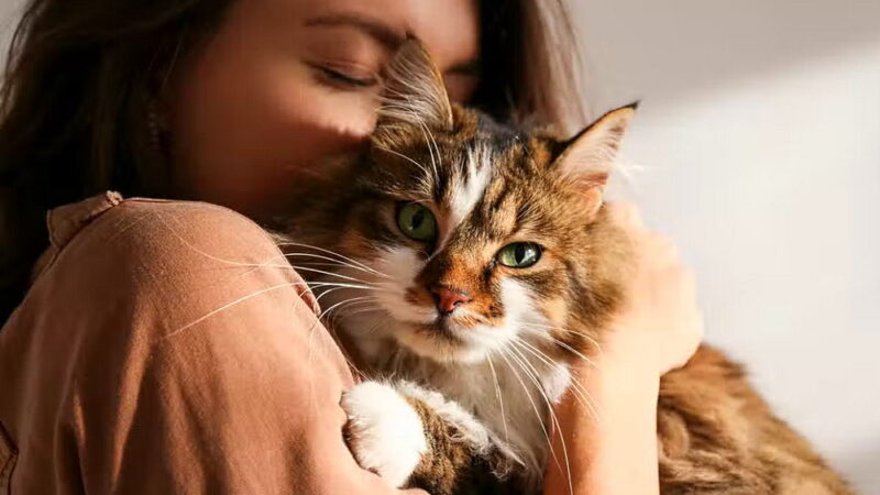 Cuddle Up Day - January 6