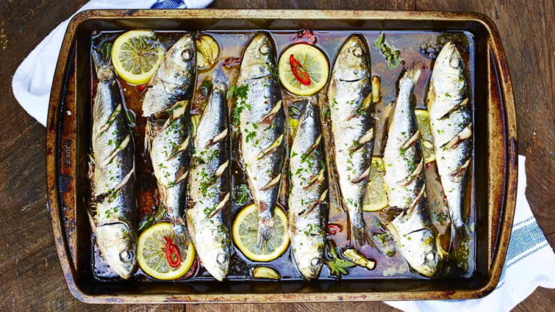 National Sardines Day - November 24