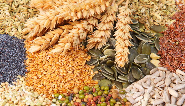 National Seed Swap Day - January