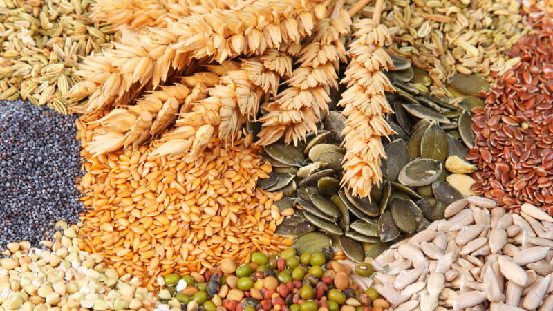 National Seed Swap Day - January