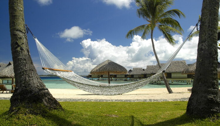 Hammock Day - July 22