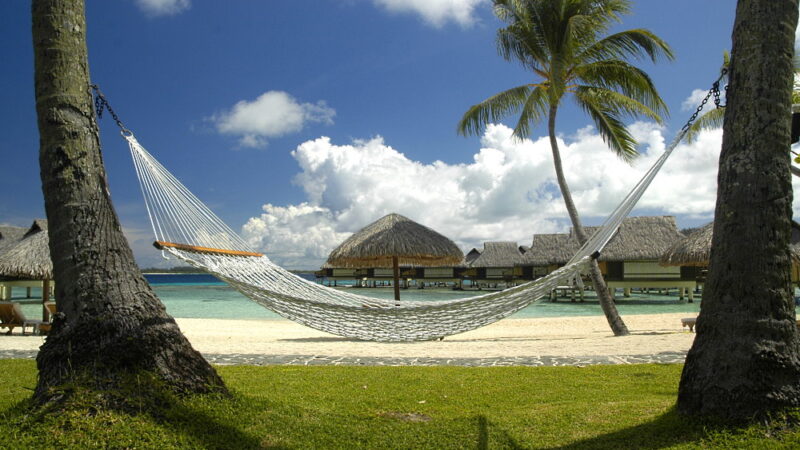 Hammock Day - July 22