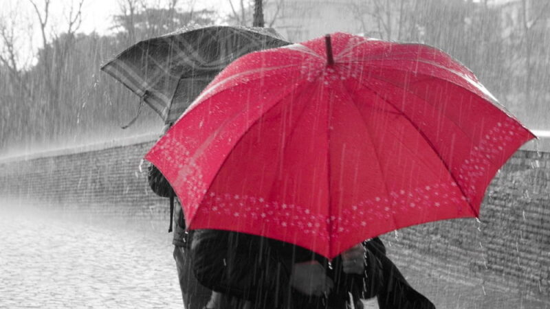 Rain Day - July 29