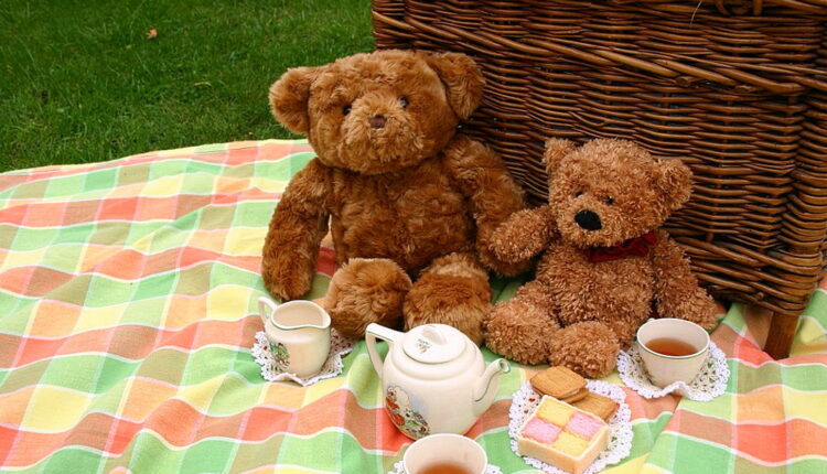 Teddy Bear Picnic Day - July 10