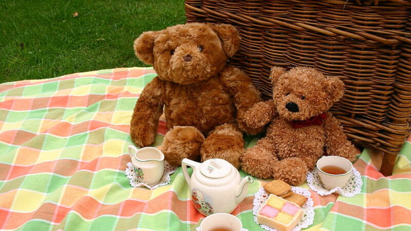 Teddy Bear Picnic Day - July 10
