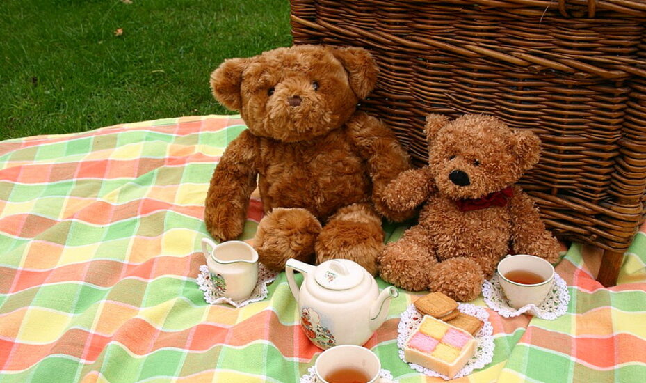 Teddy Bear Picnic Day July 10, 2024