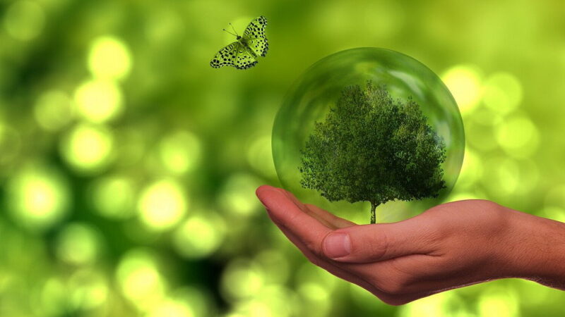 World Nature Conservation Day - July 28