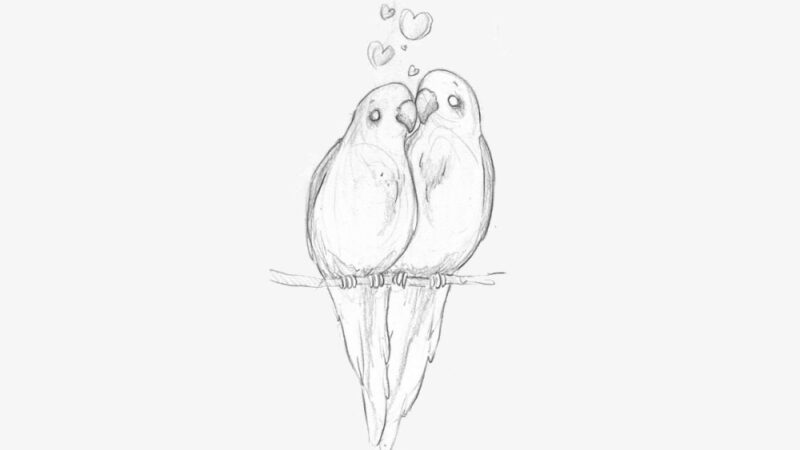 Draw a Picture of a Bird Day - April 8