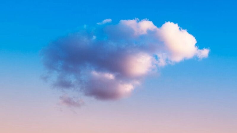 Dream Day - March 11