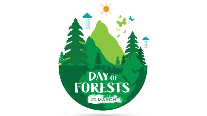 International Day of Forests - March 21