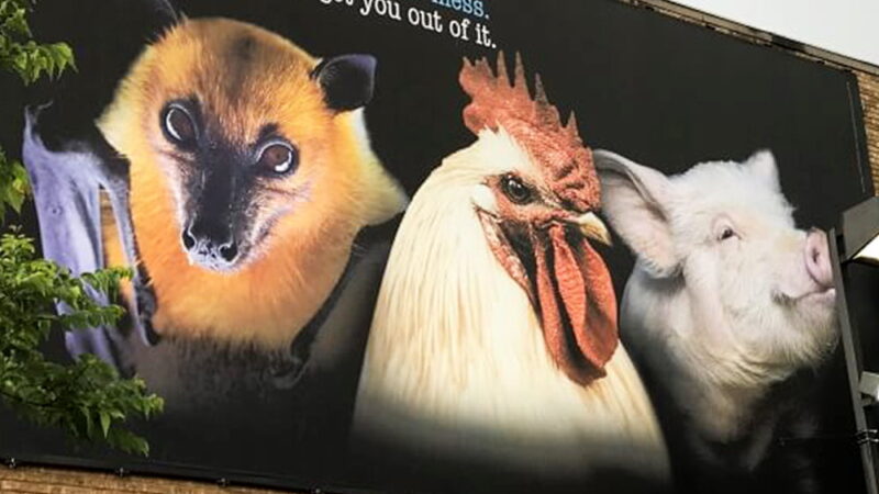 International Eat an Animal for PETA Day - March 15
