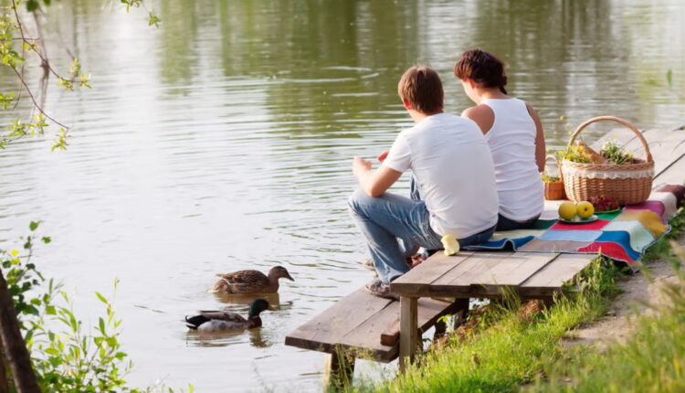 International Picnic Day - June 18
