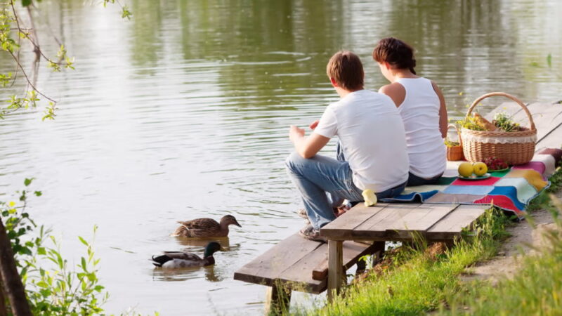 International Picnic Day - June 18