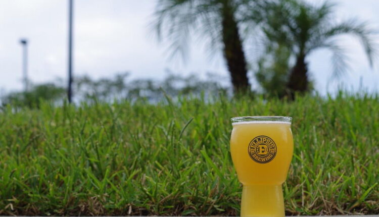 National Bock Beer Day - March 20