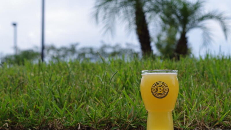 National Bock Beer Day - March 20